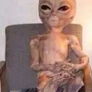 Meet your Posher, Luis